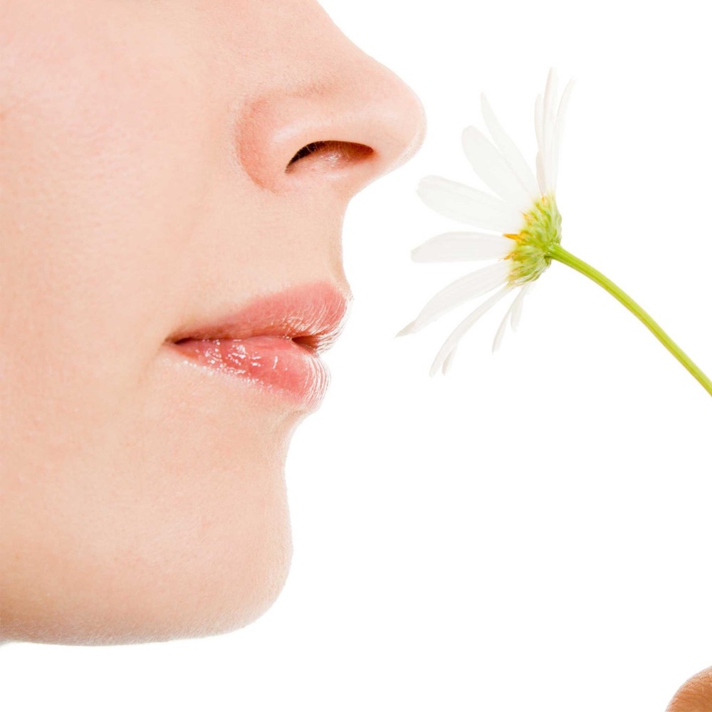 All things scent !